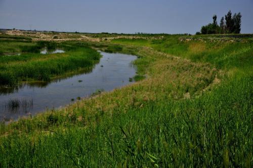 1599559191848784.jpg 556.jpg